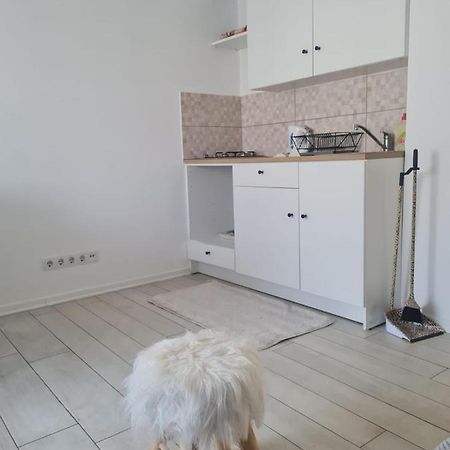 Cute Modern Apartman Zagreb Διαμέρισμα Εξωτερικό φωτογραφία